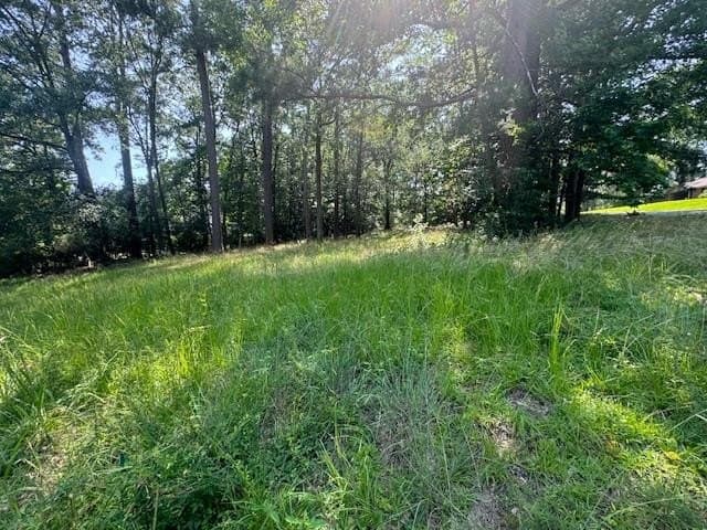 0.41 acres in Texas County
