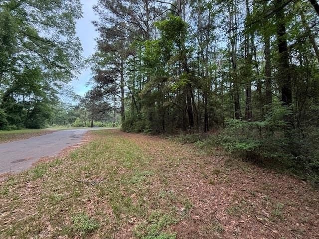 0.31 acres in Texas County