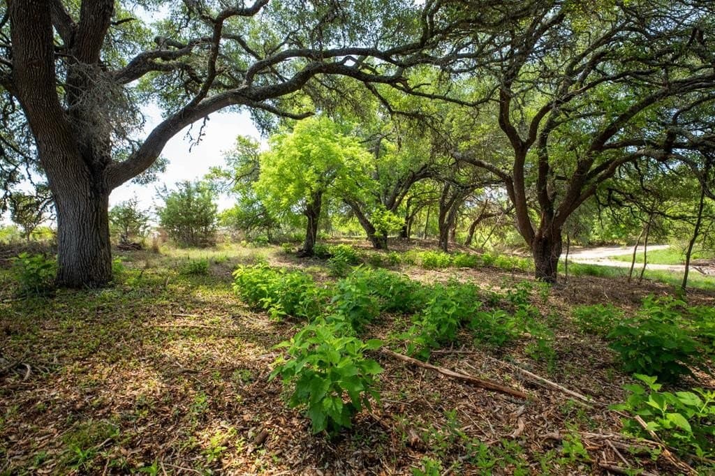 10.26 acres in Gillespie County