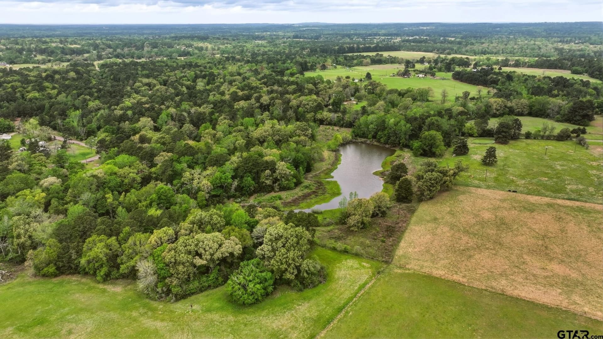 66.29 acres in Anderson County