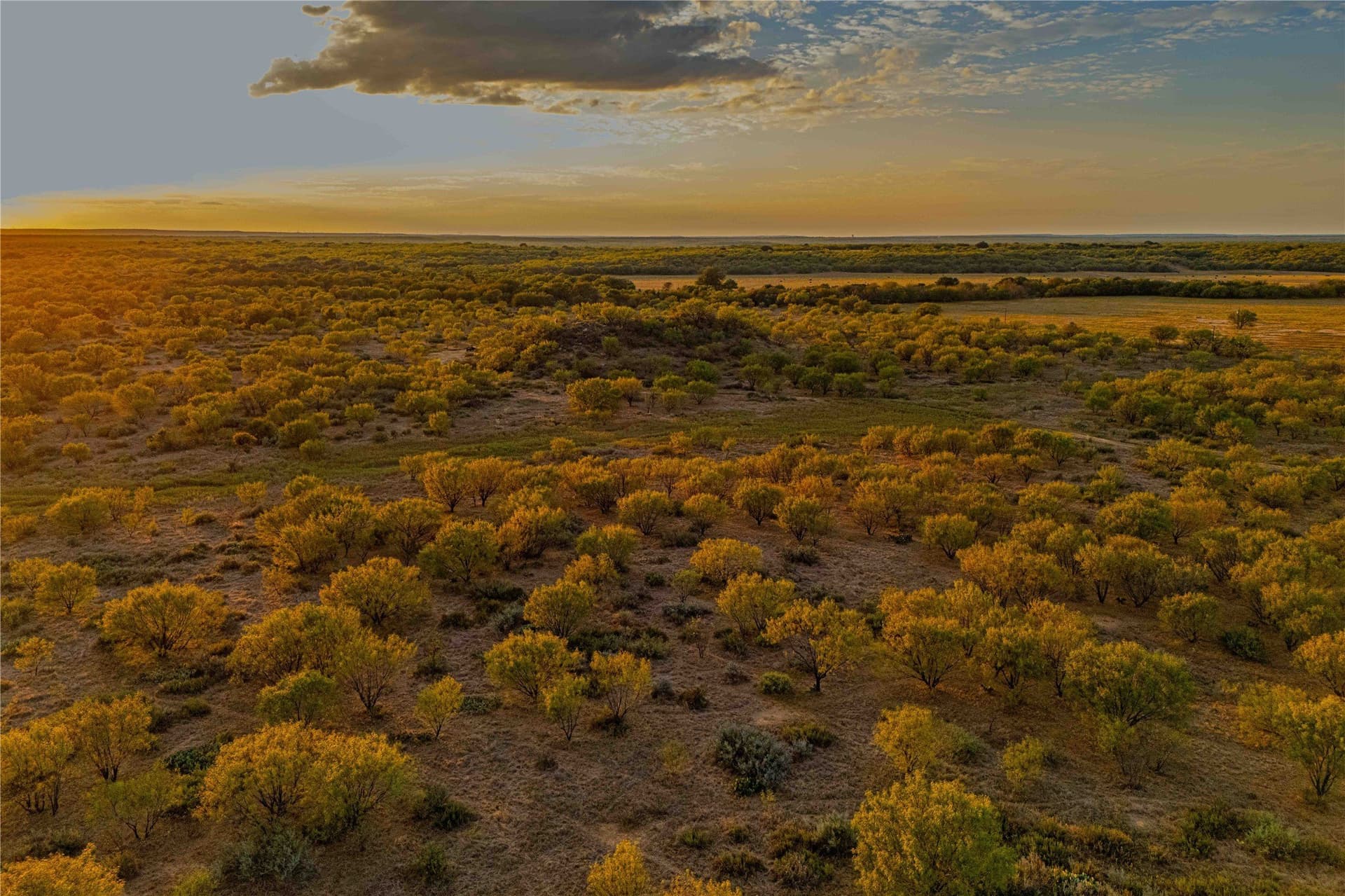 480.2 acres in Callahan County