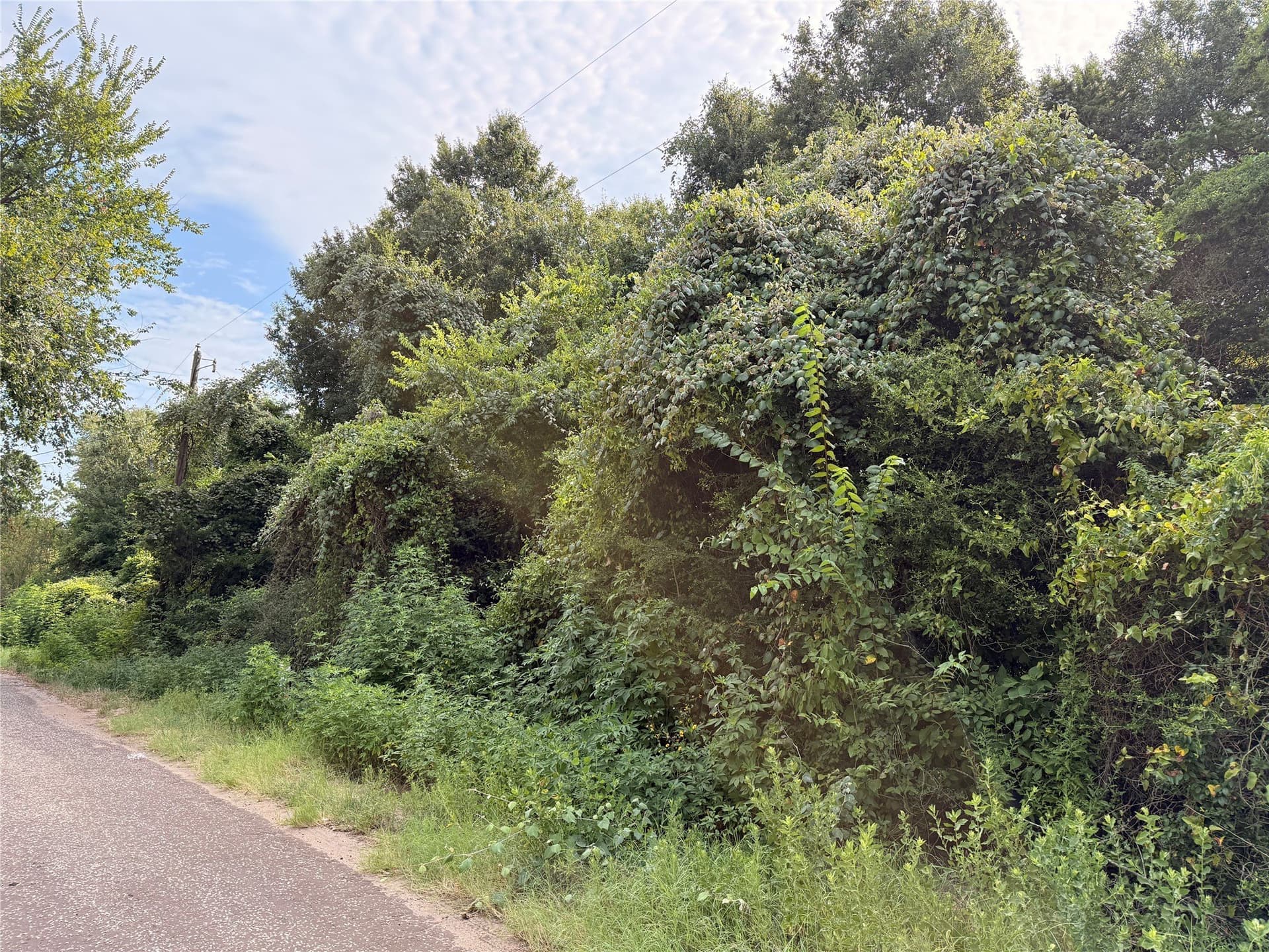 1.5 acres in Freestone County