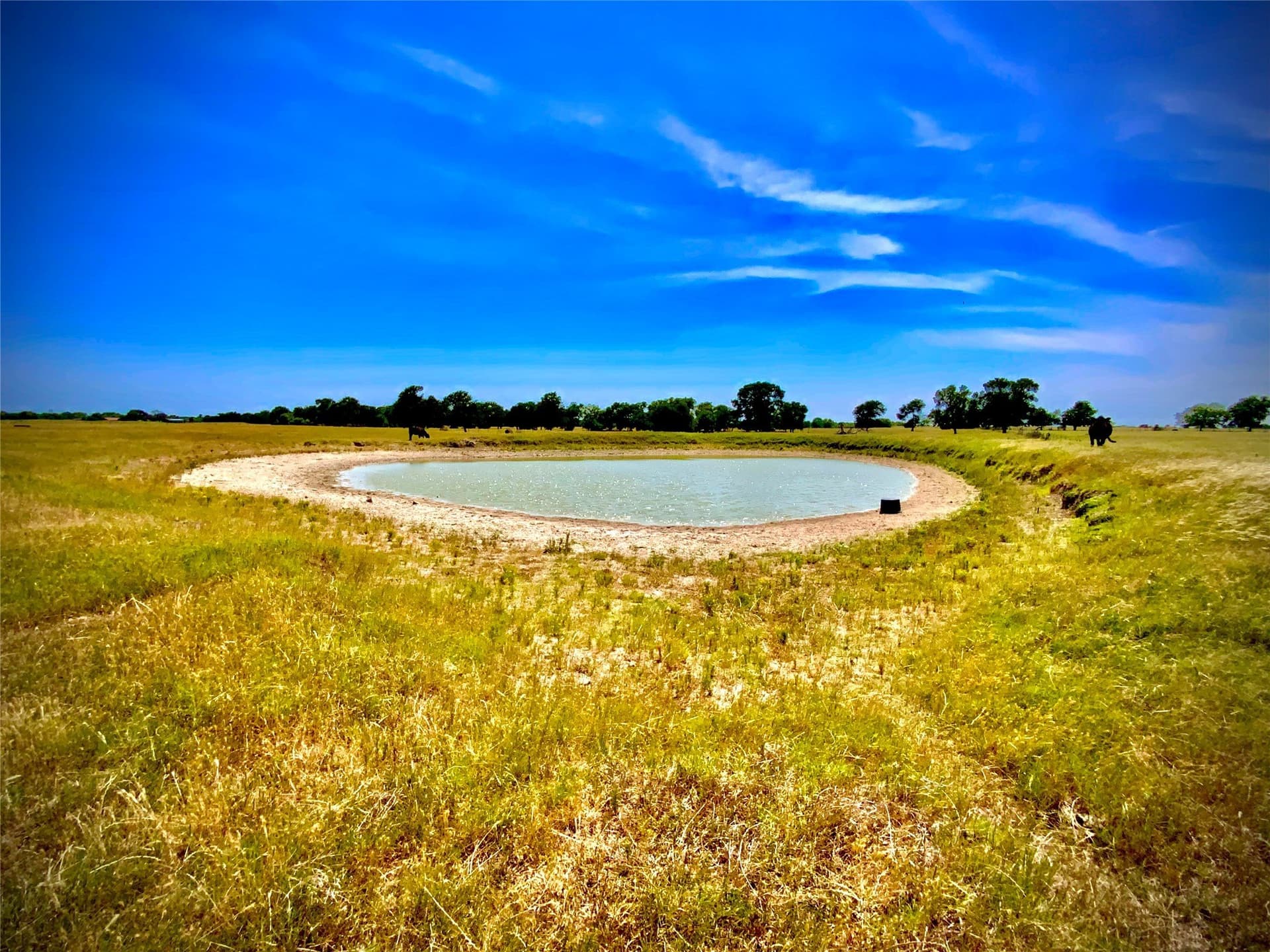 22.37 acres in Falls County