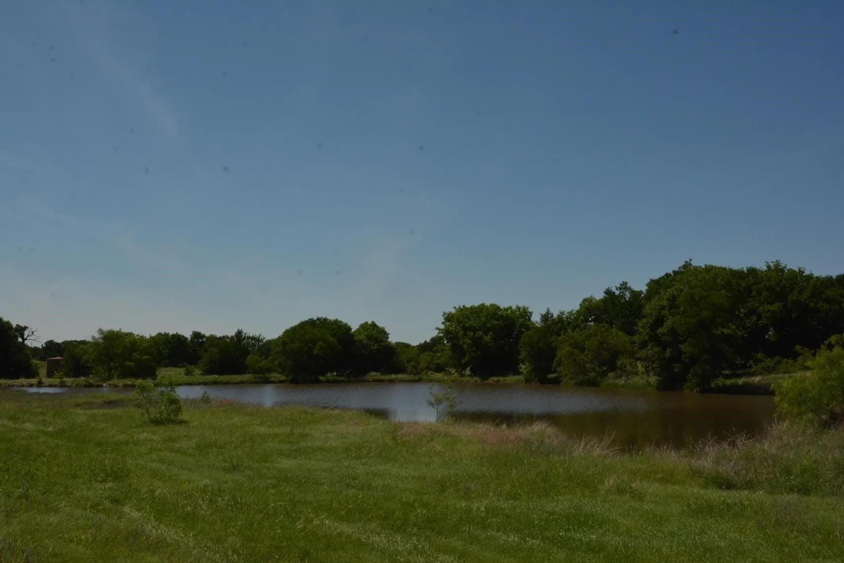 84 acres in Wise County