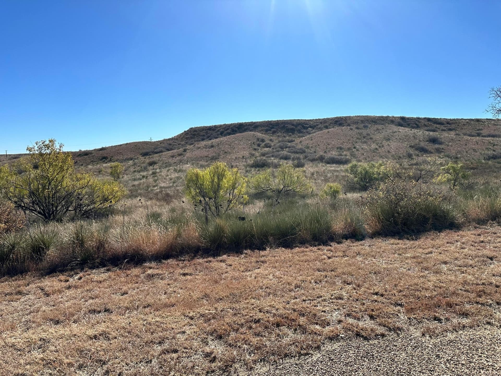 13.14 acres in Potter County
