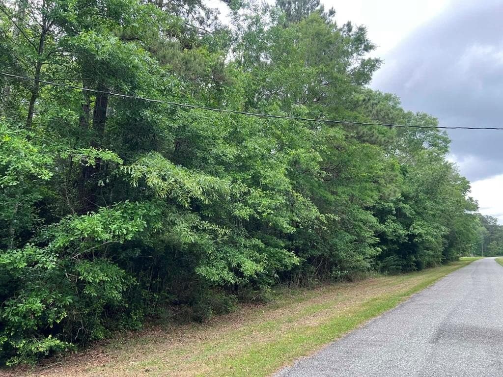 1.09 acres in Texas County
