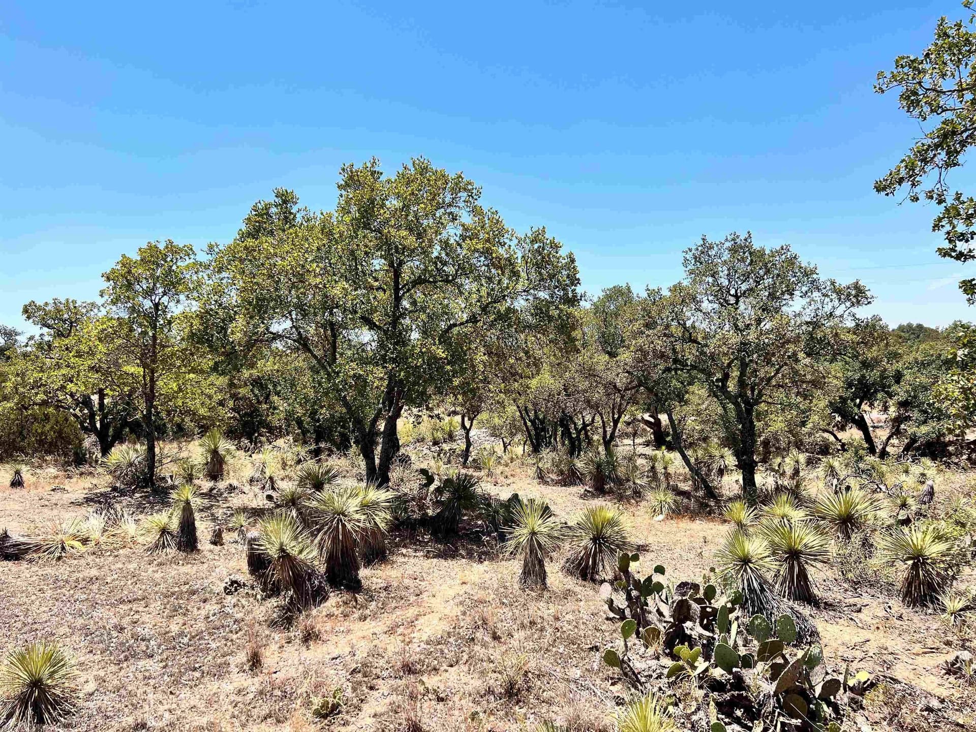 0.11 acres in Burnet County