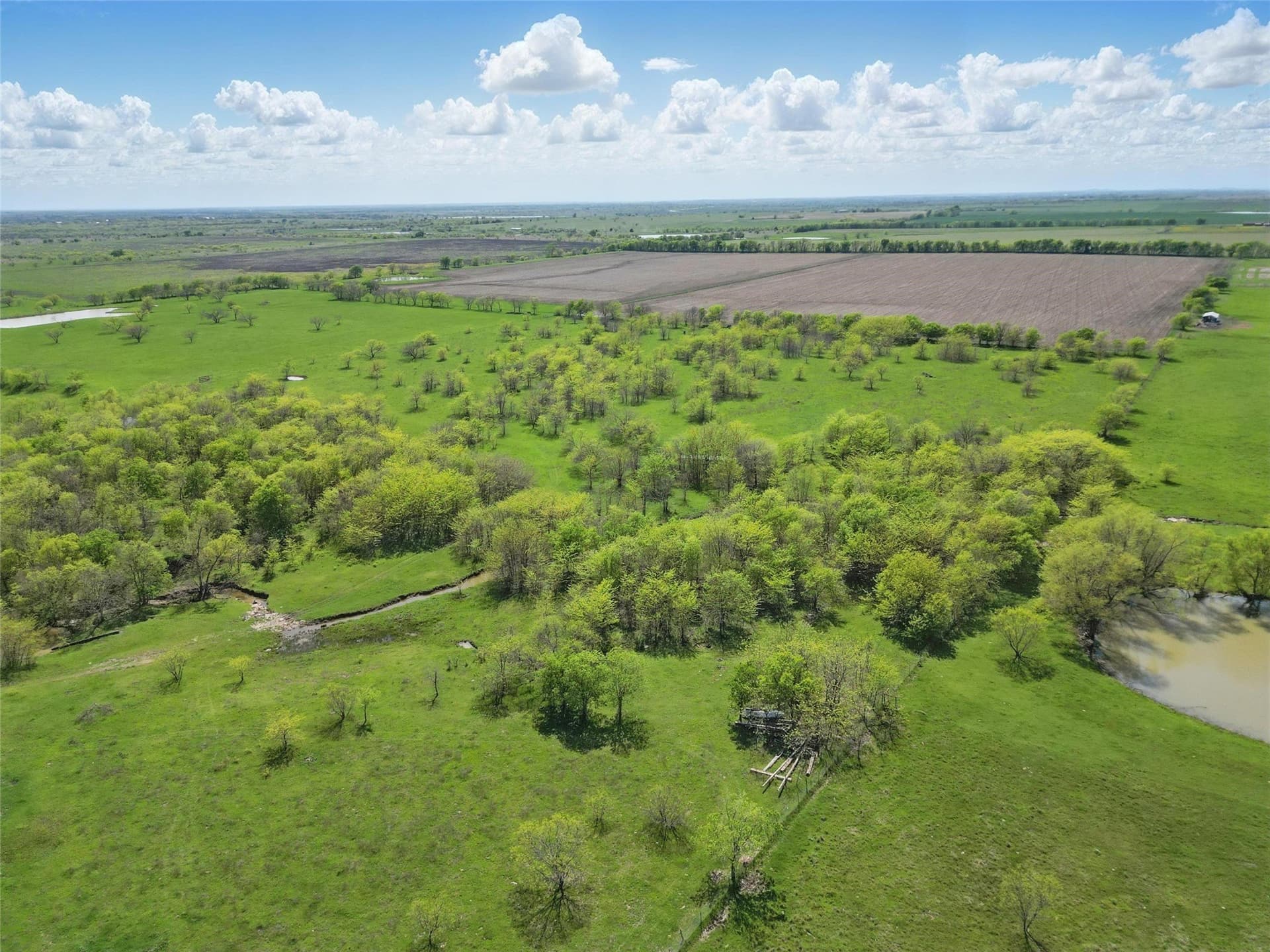 54.03 acres in Grayson County