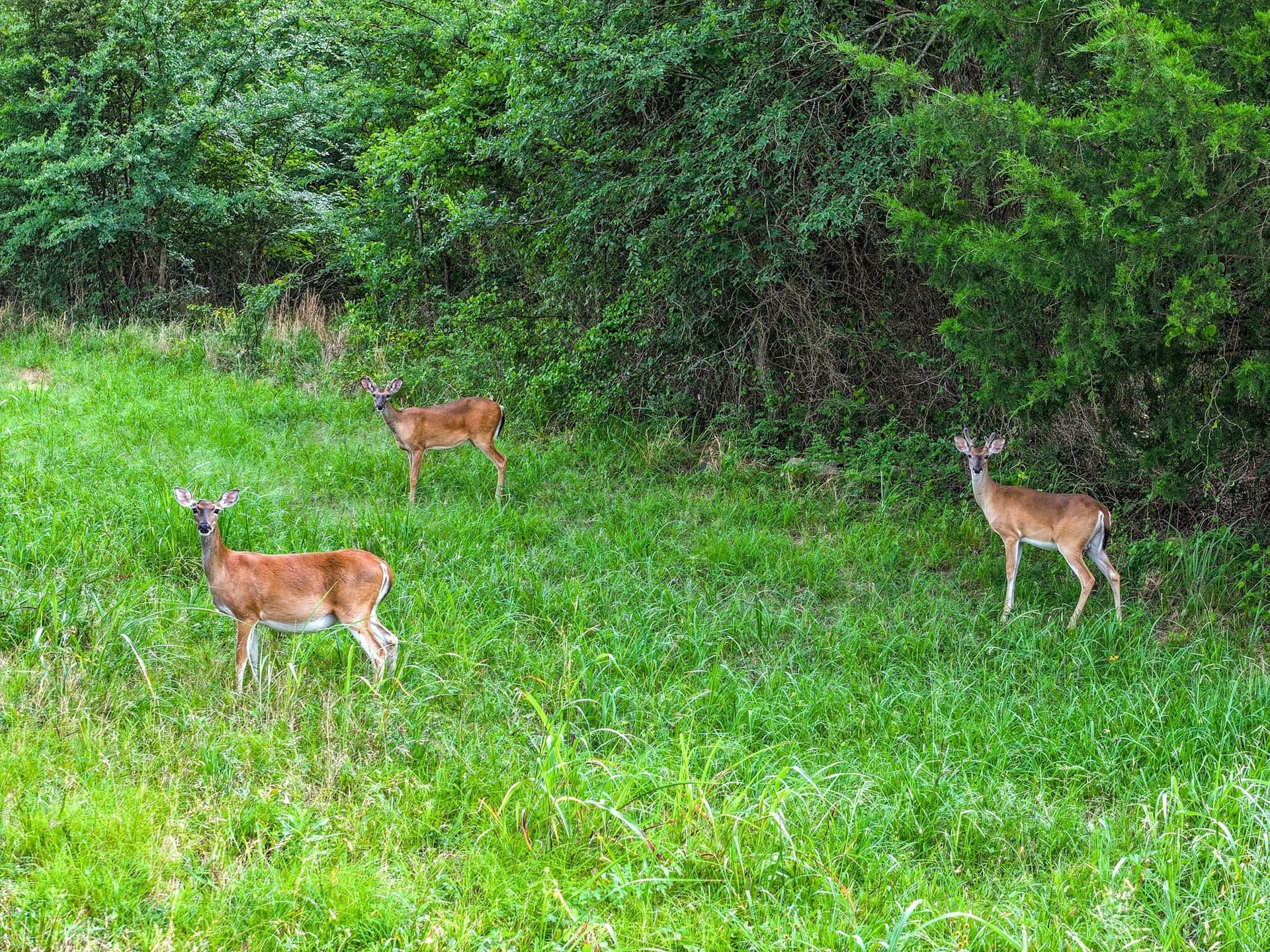 1.09 acres in Hopkins County