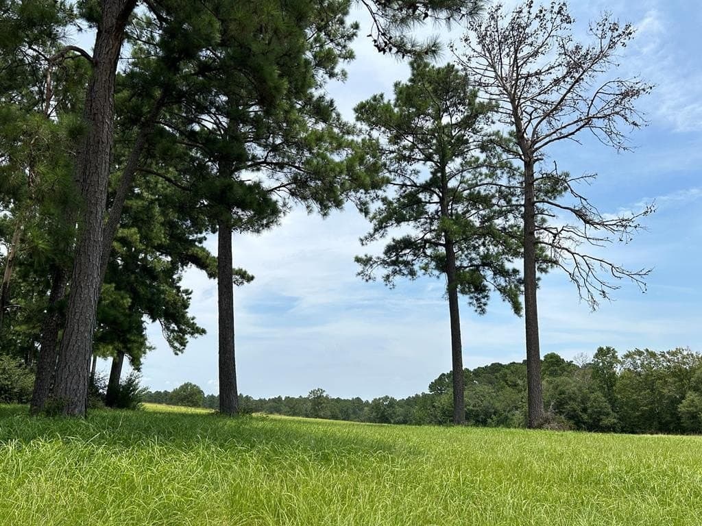 3.08 acres in Texas County