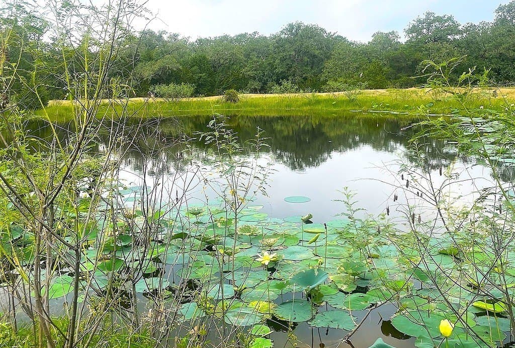 33.43 acres in Lavaca County