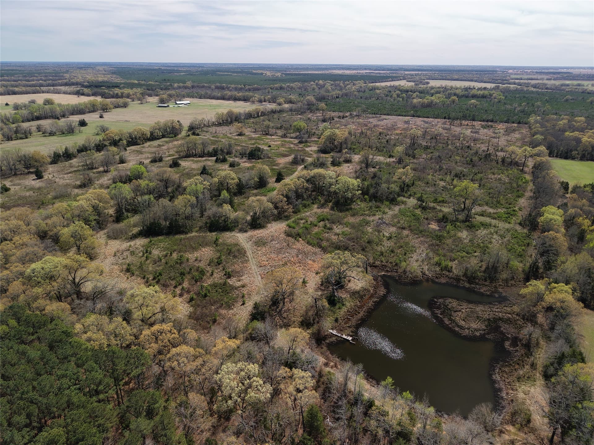 99.55 acres in Red River (TX) County