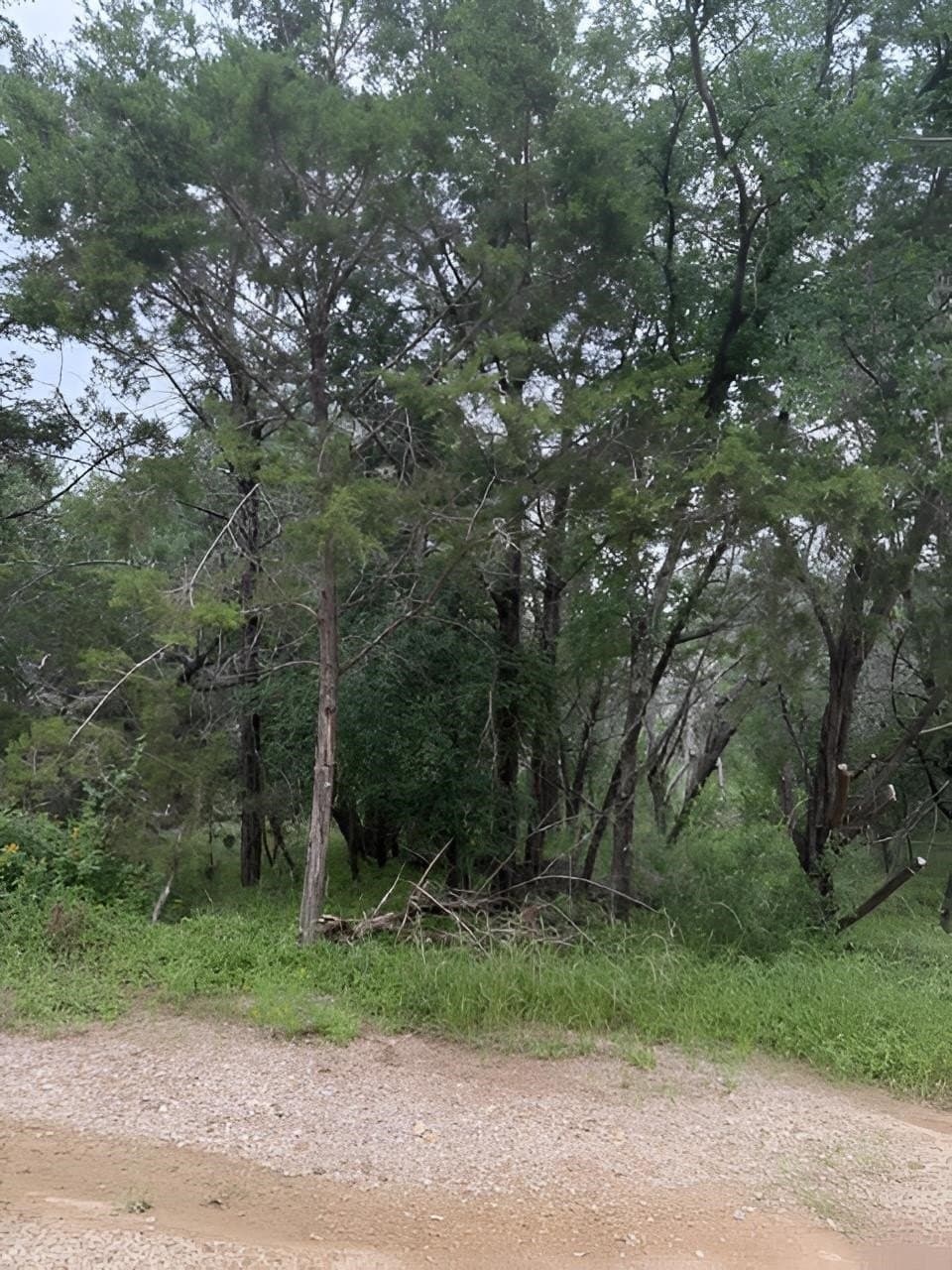 0.25 acres in Burnet County