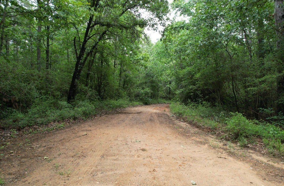 122 acres in Shelby County