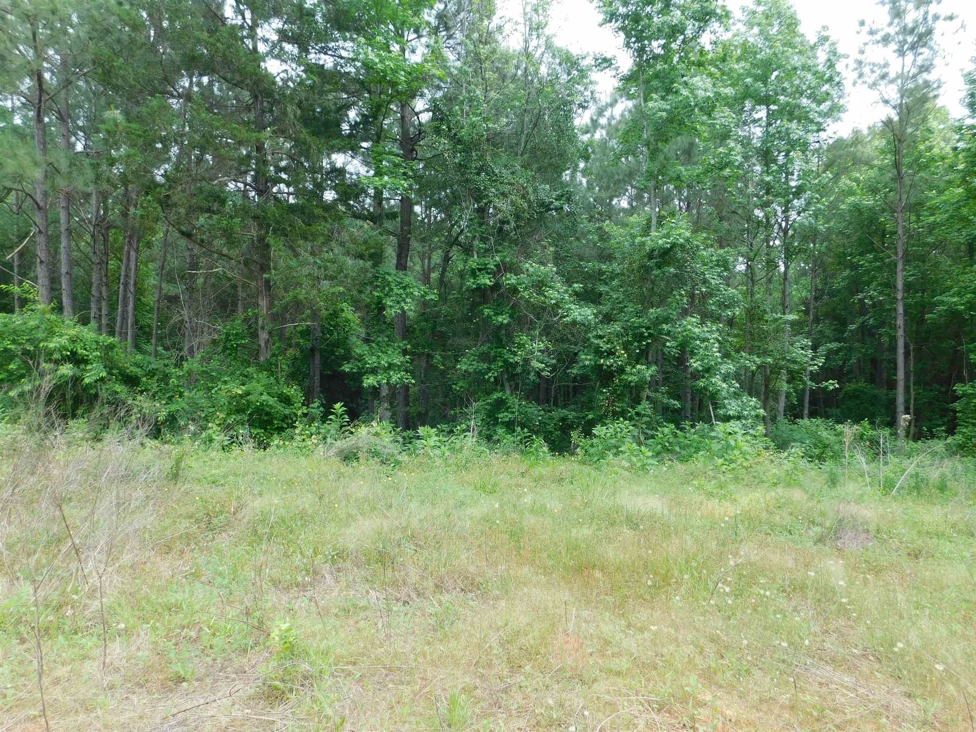 0.71 acres in Texas County