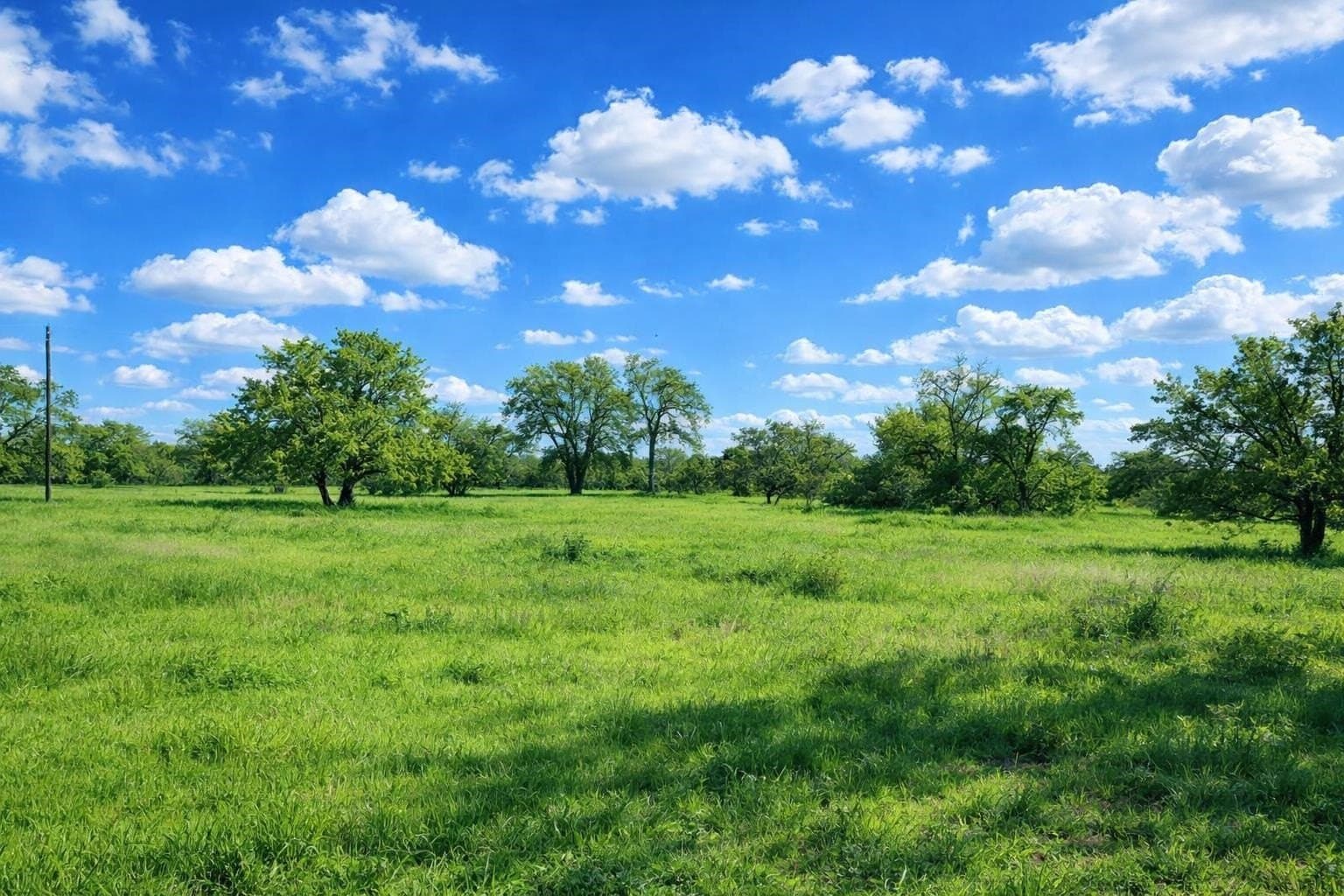 6.3 acres in Burnet County