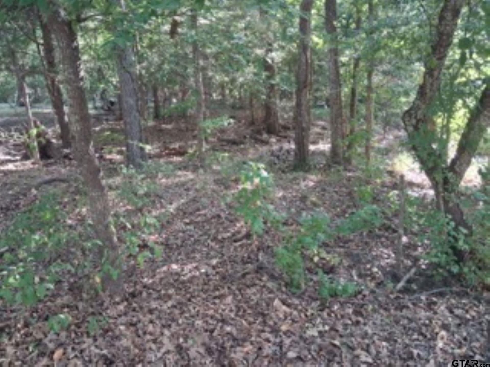 0.28 acres in Van Zandt County