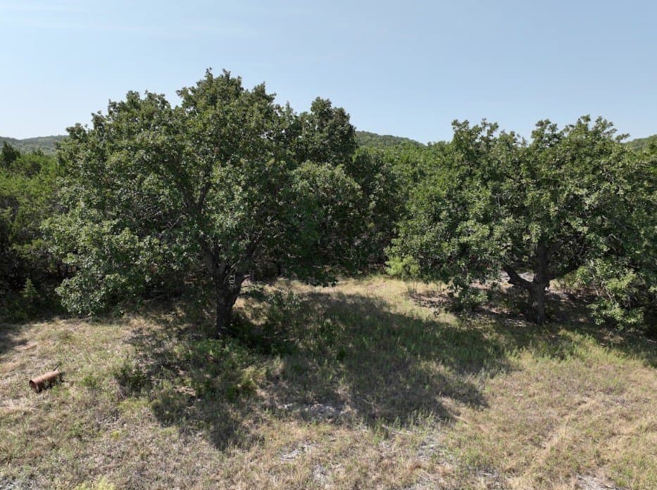 44 acres in Taylor County