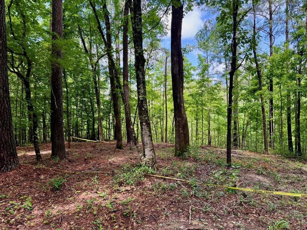 1.32 acres in Texas County
