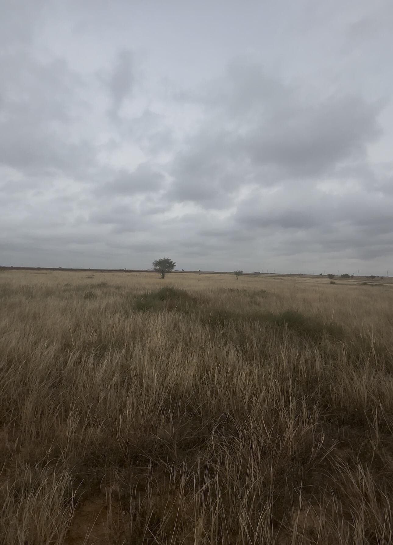 10.02 acres in Lubbock County