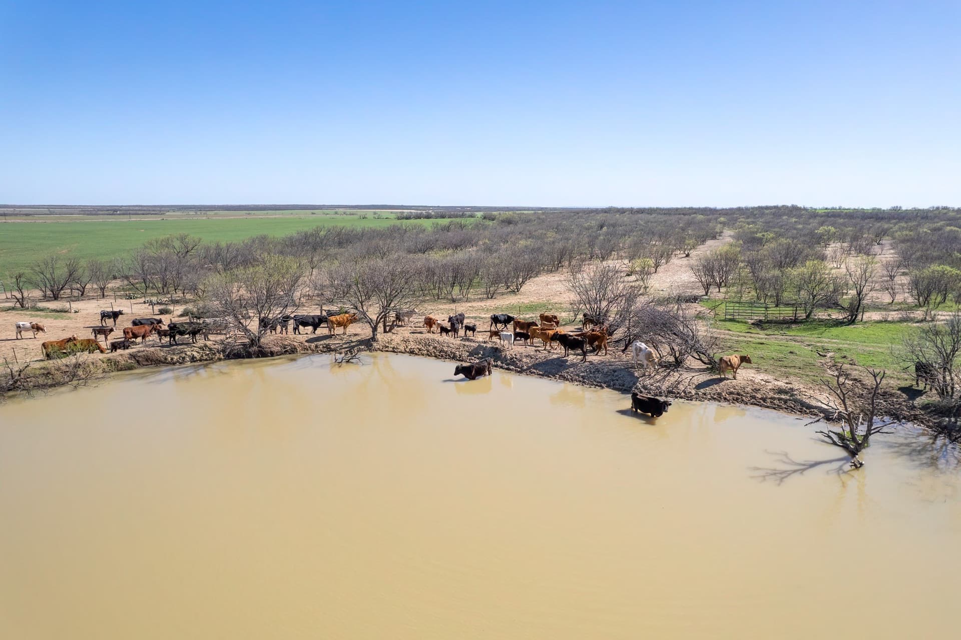 162.5 acres in Coleman County