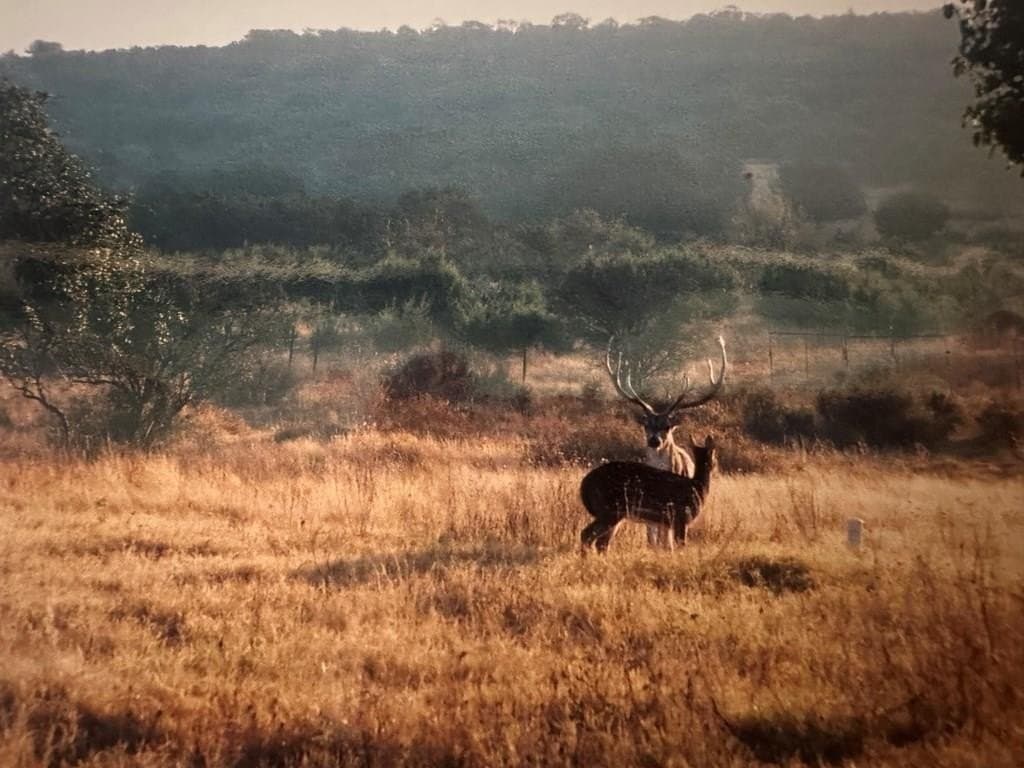 640 acres in Crockett County