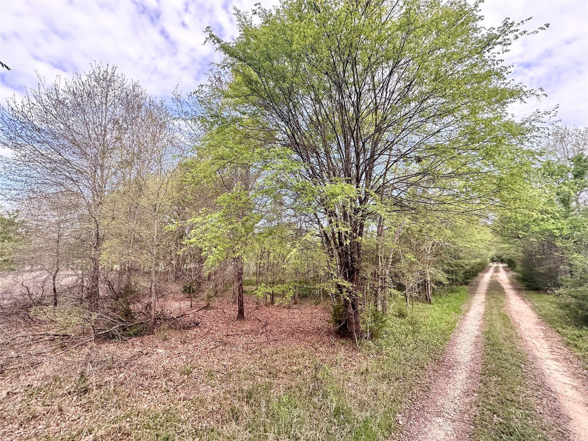 13.21 acres in Henderson County