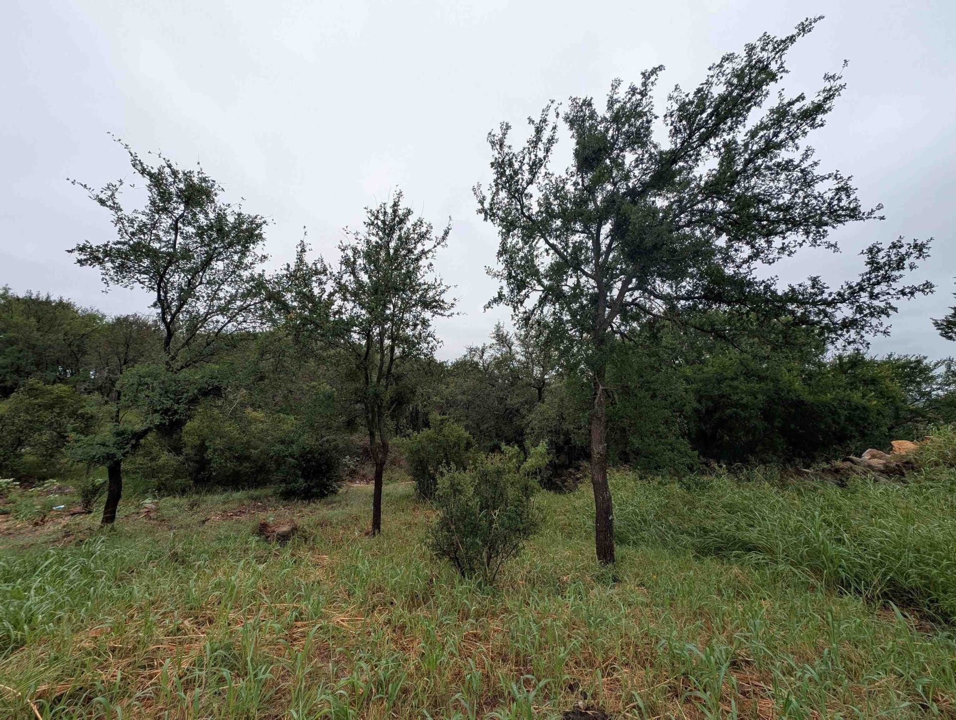 0.4 acres in Burnet County