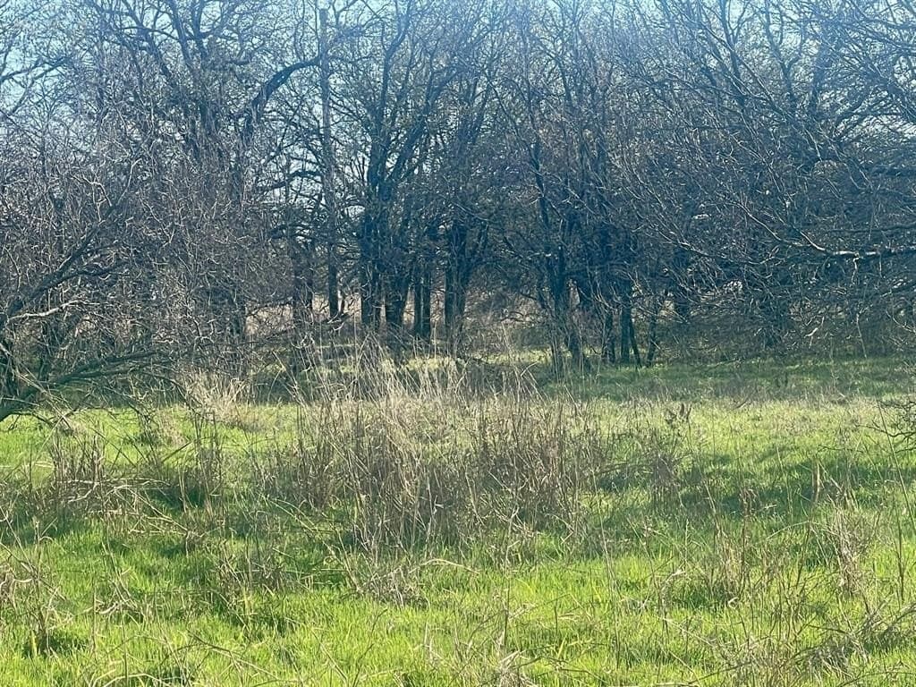 292 acres in Montague County