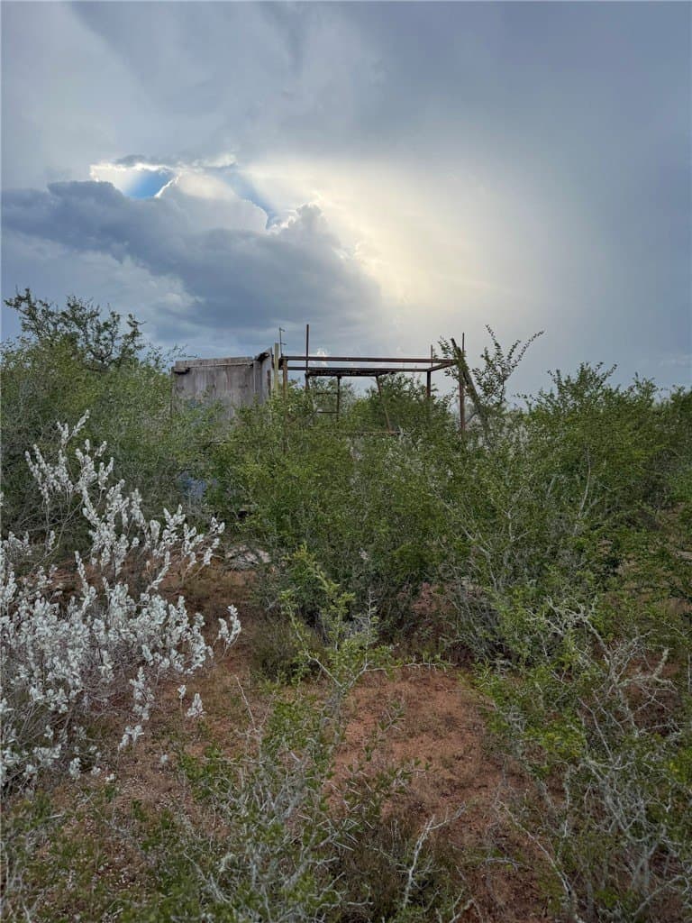 11.91 acres in Live Oak County
