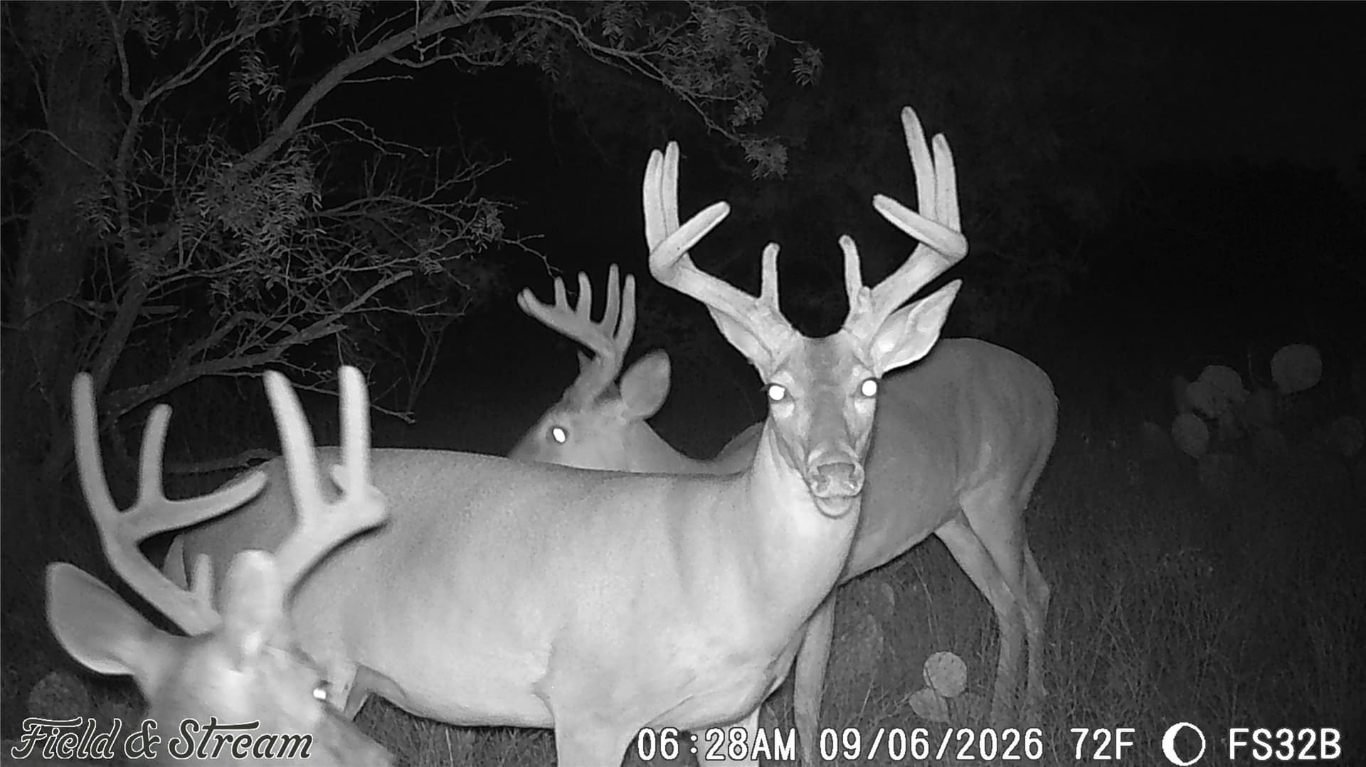10.02 acres in Concho County