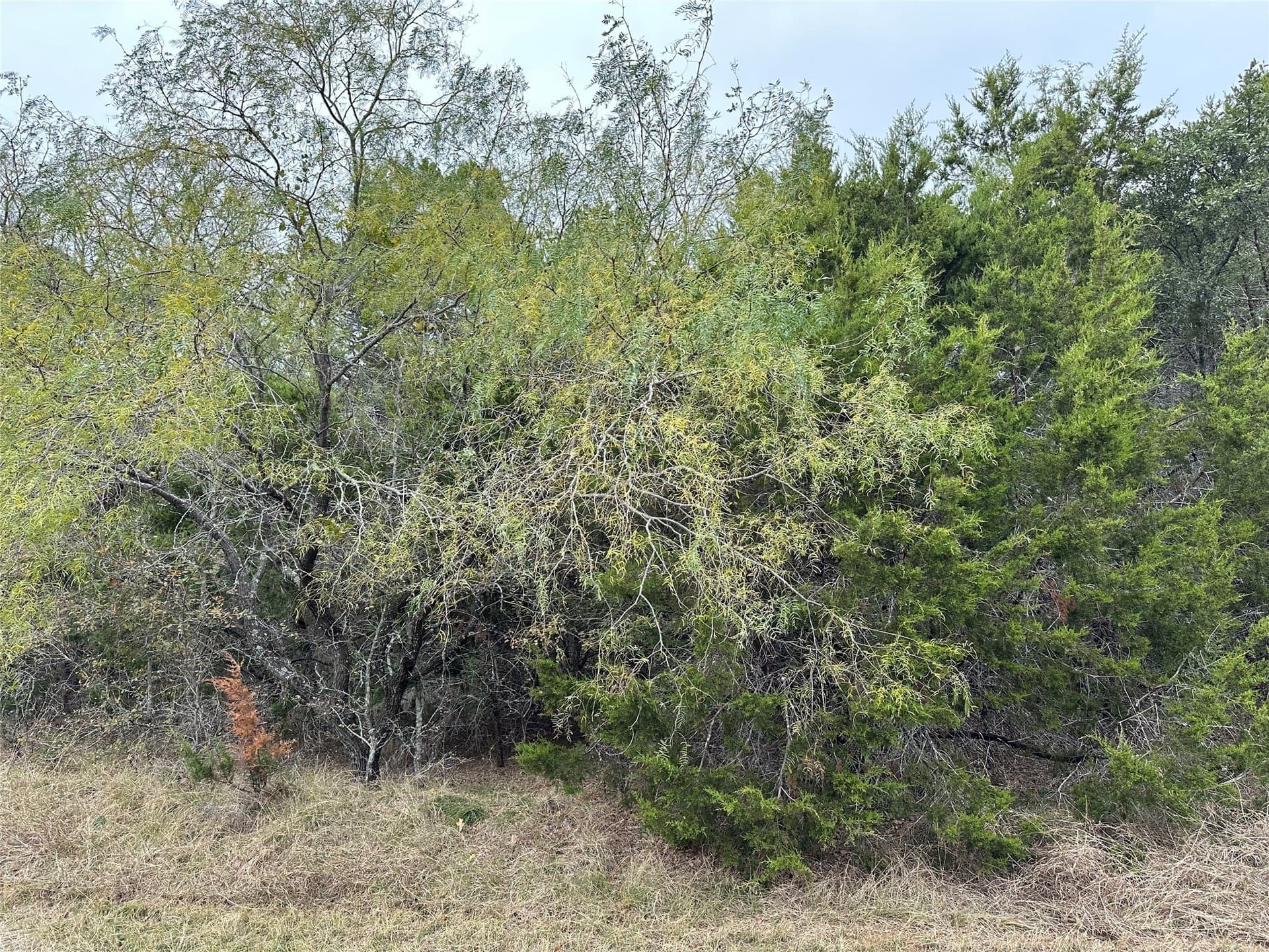 0.59 acres in Hill County