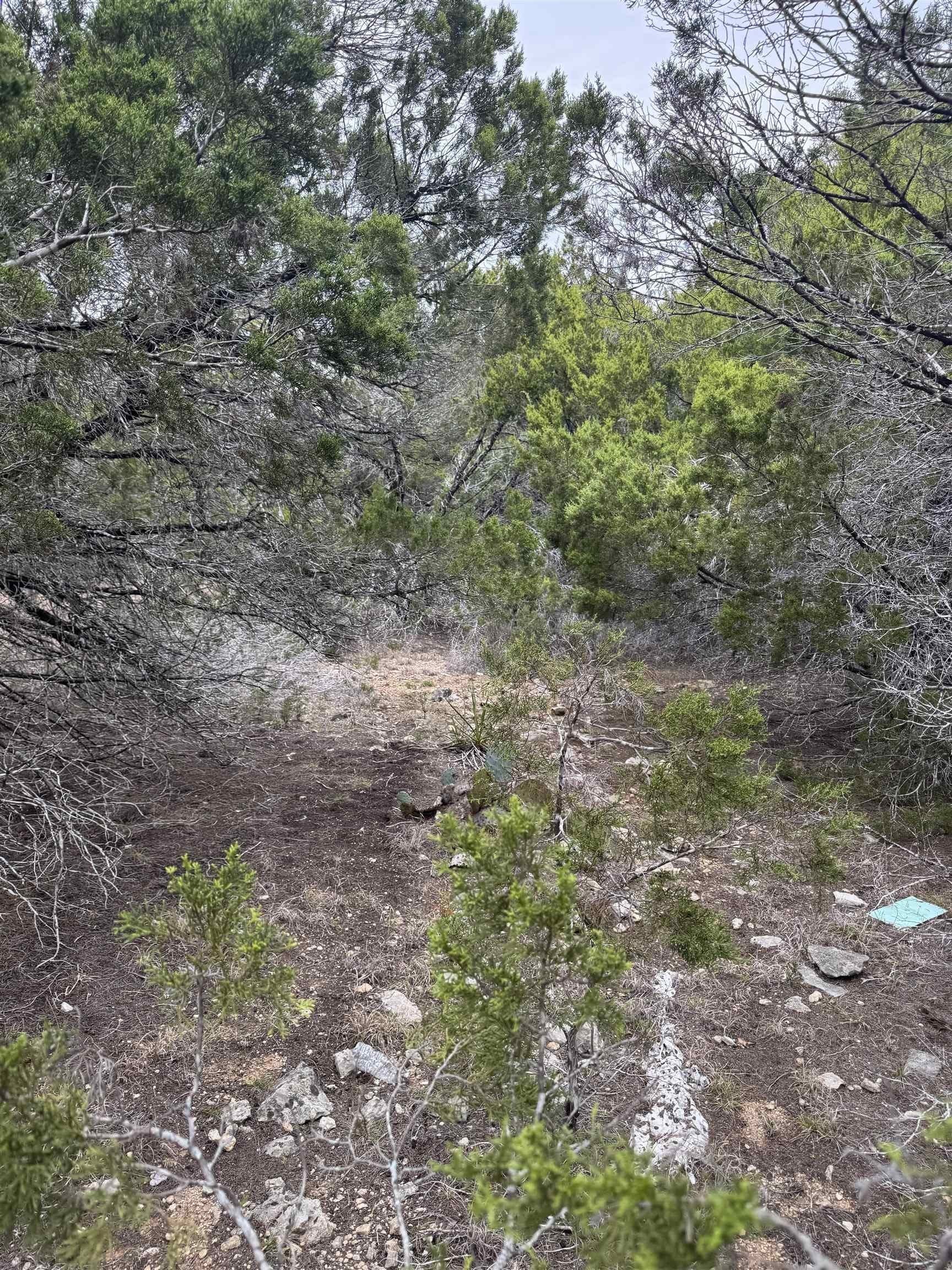 0.22 acres in Travis County