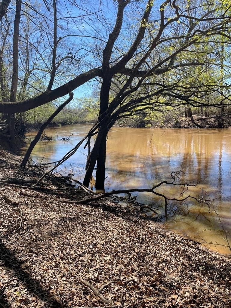 351.52 acres in Texas County
