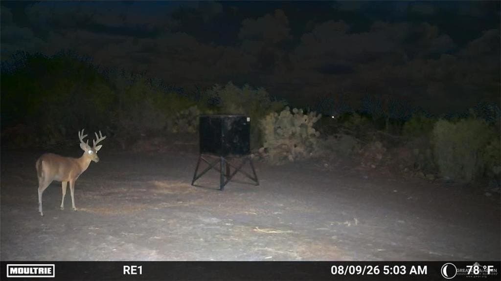 84 acres in Zapata County