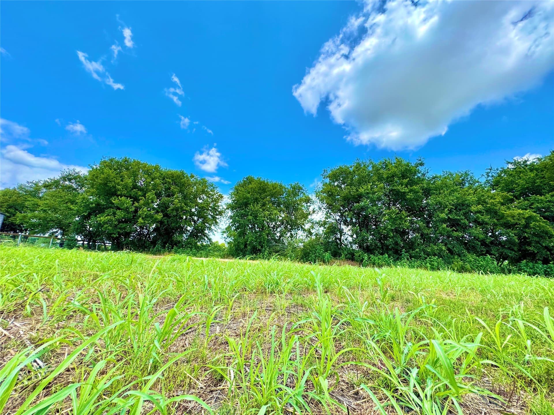 1.5 acres in Collin County