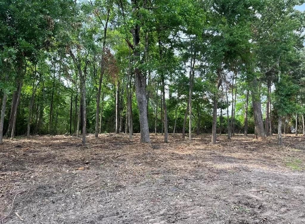 1.17 acres in Angelina County