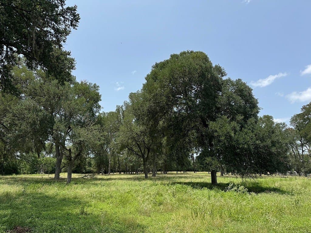 7.79 acres in Fayette County