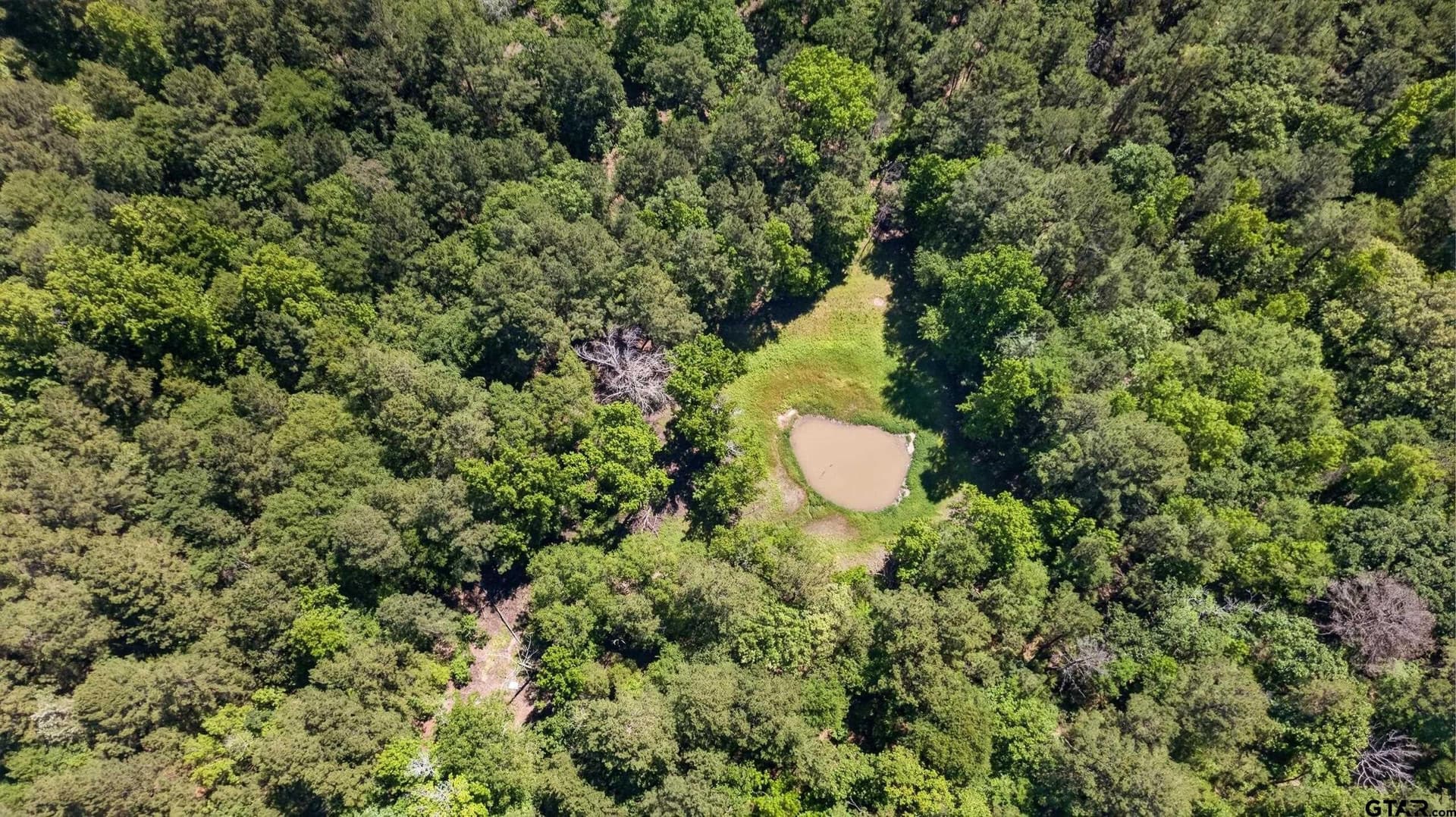 50 acres in Anderson County