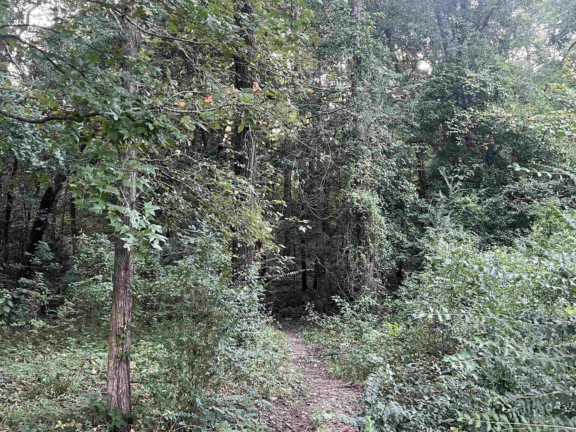 0.38 acres in Upshur County