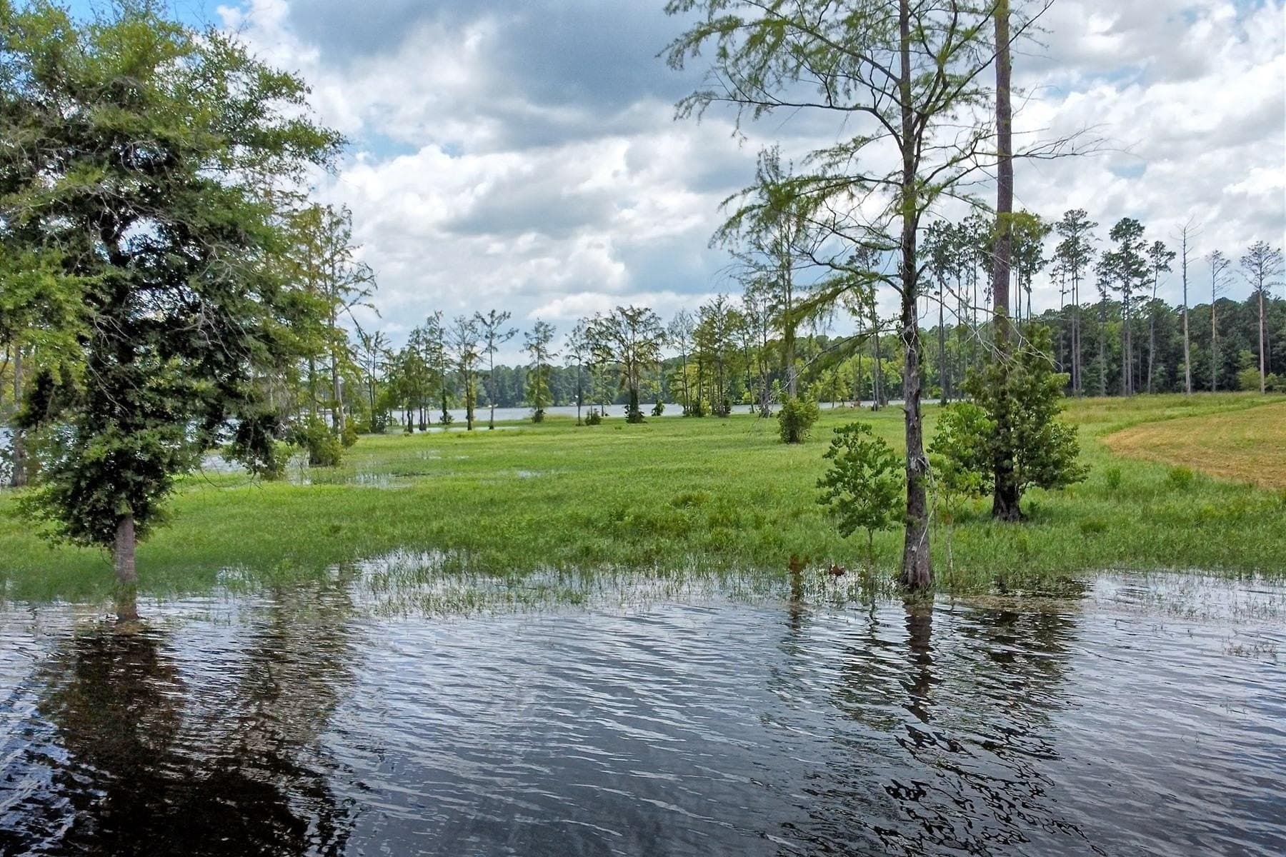 1 acres in Texas County