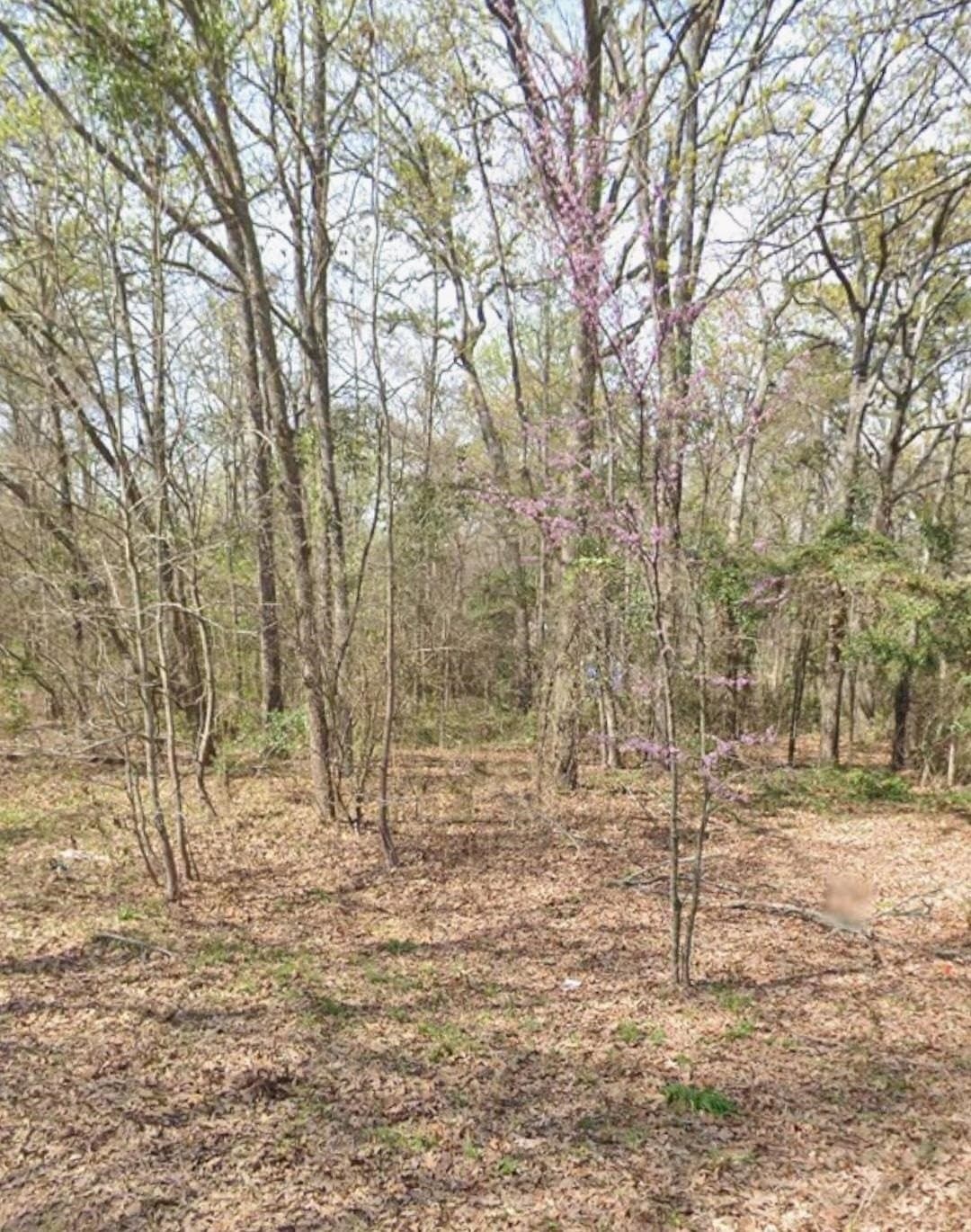 0.29 acres in Upshur County