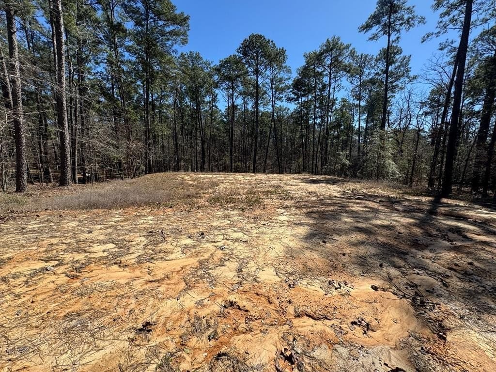 0.23 acres in Texas County