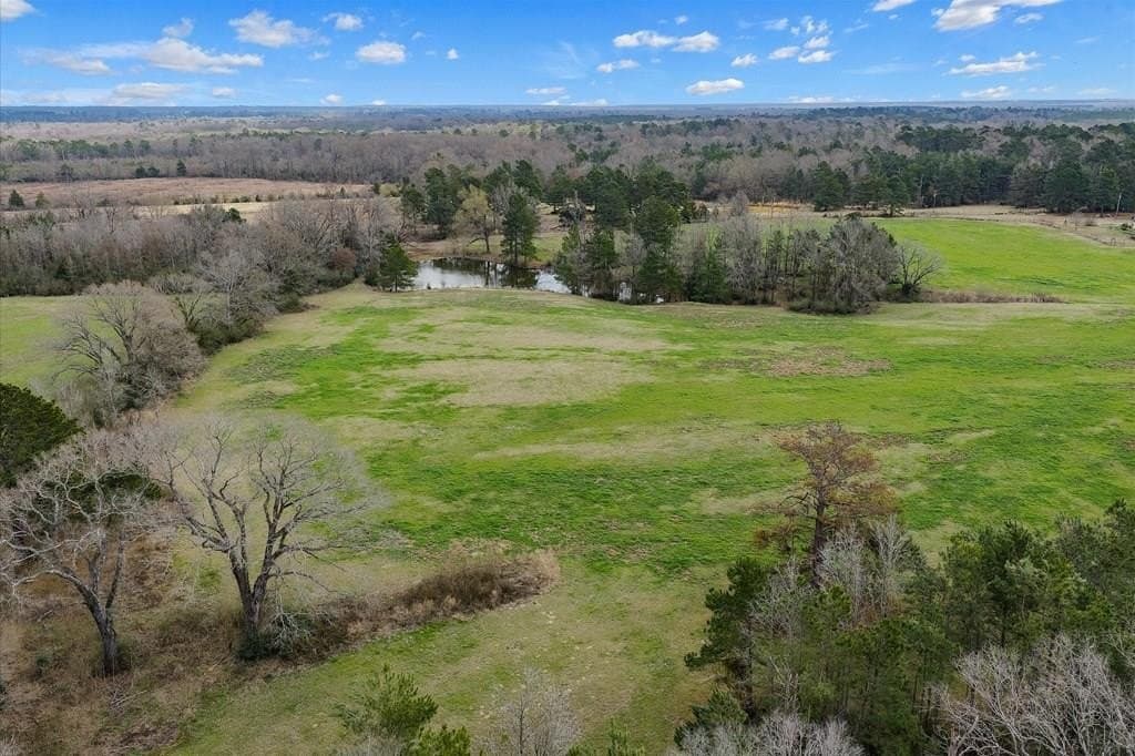 48.17 acres in Texas County