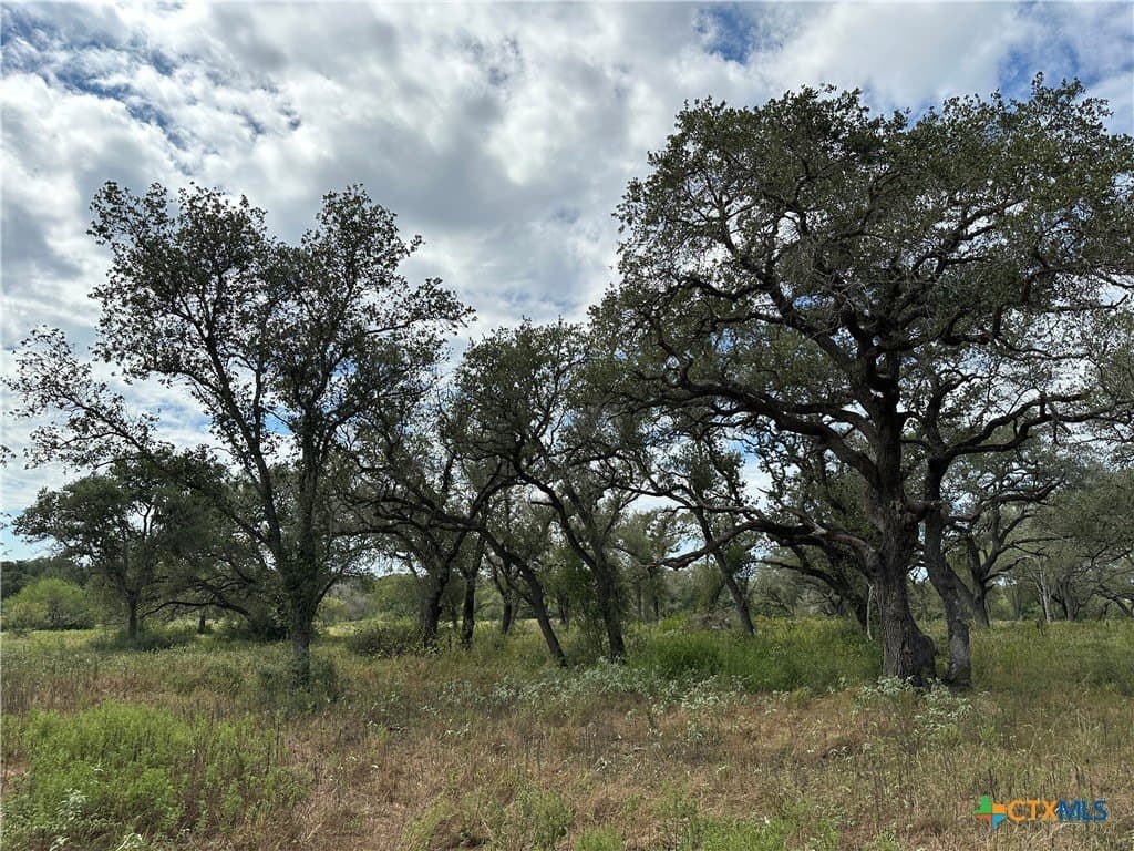 11.82 acres in Victoria County
