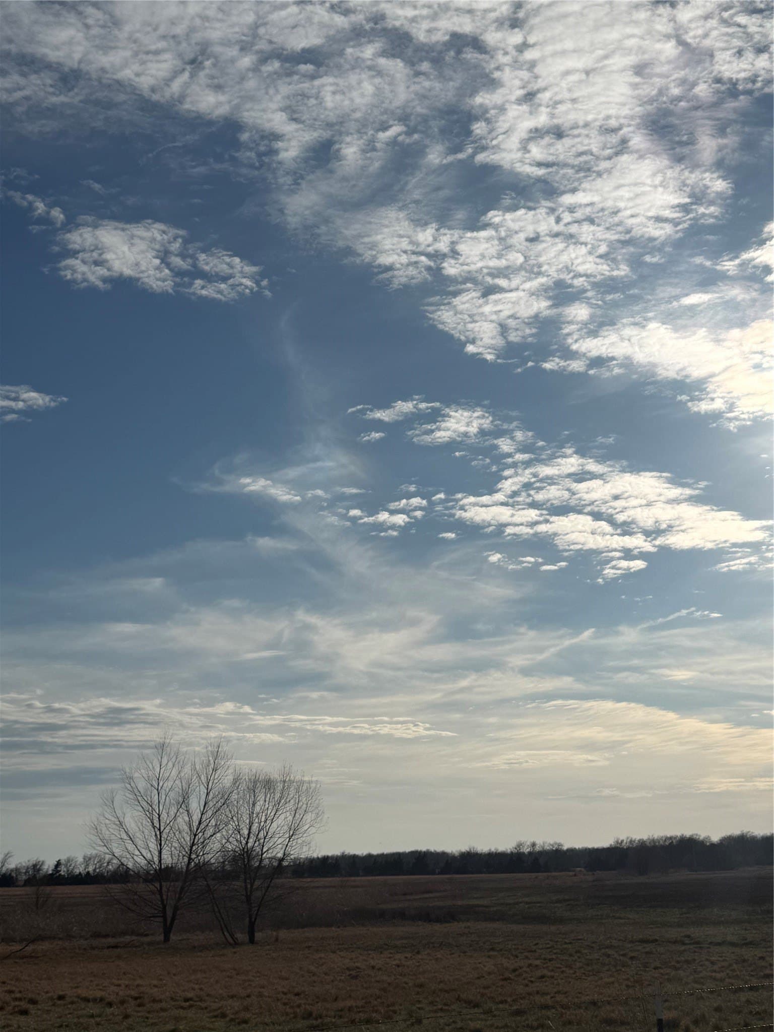 45.34 acres in Red River (TX) County