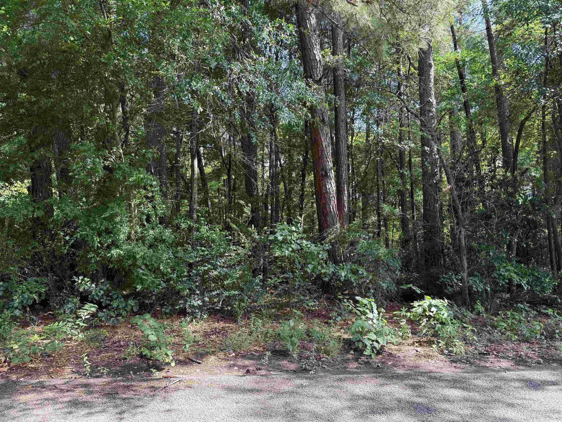 0.08 acres in Gregg County