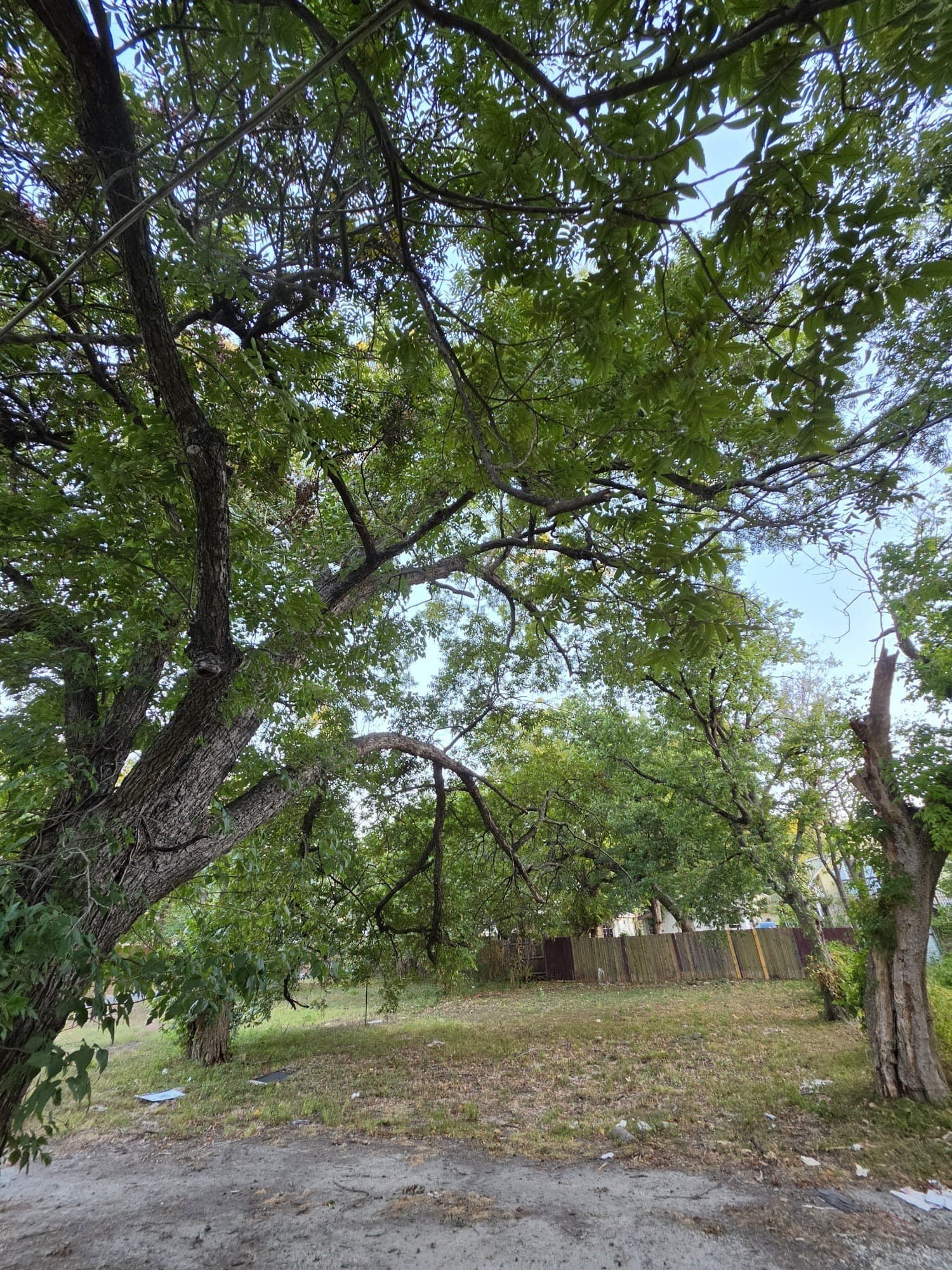 0 acres in Dallas County
