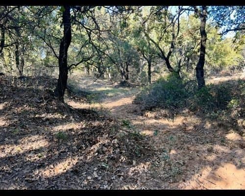 40 acres in Eastland County