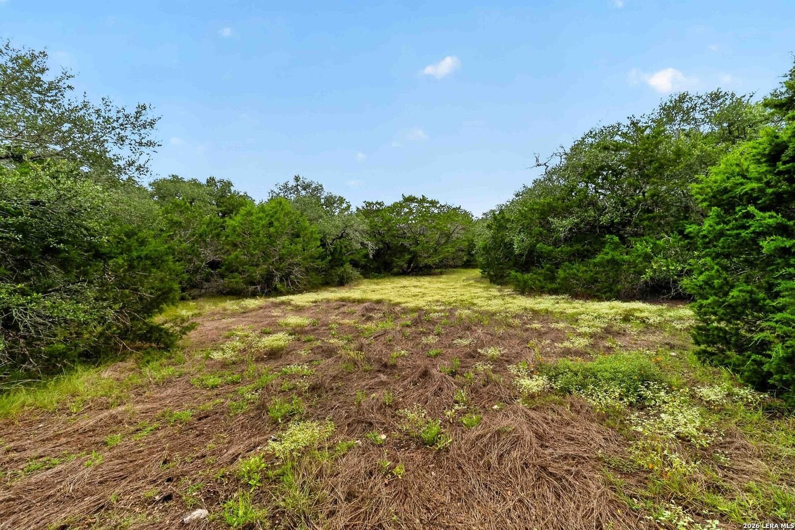 1.7 acres in Comal County